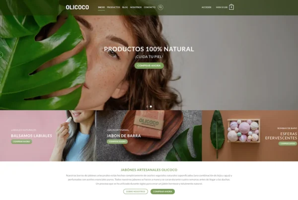 agencia de paginas web leon guanajuato